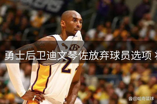 勇士后卫迪文琴佐放弃球员选项 将试水自由市场
